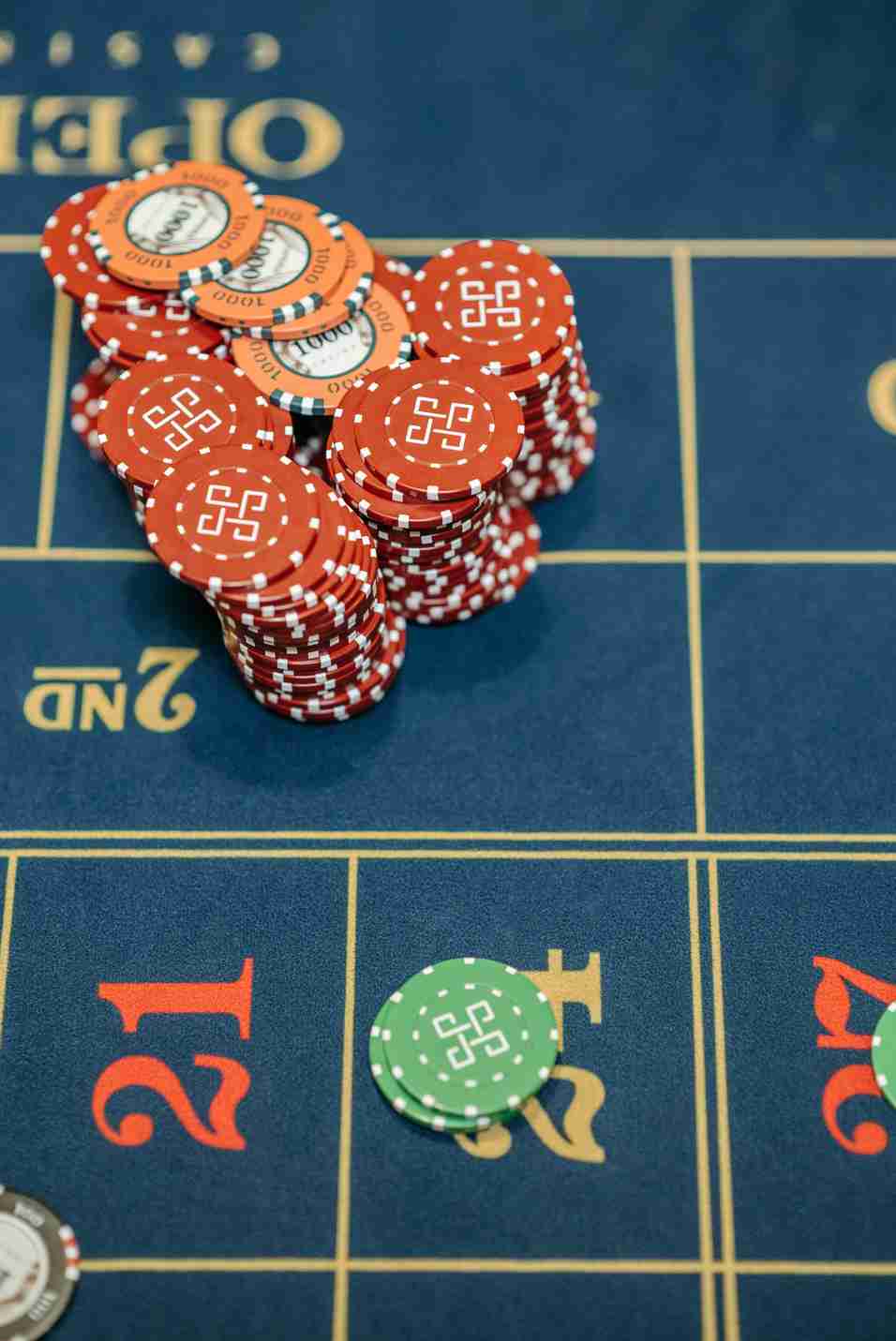 fight club casino 2026